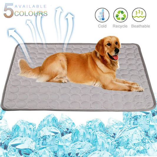 Le Tapis Frais de Rocky – Parce que Suer en Été, C'est Pas Glamour 🐾❄️