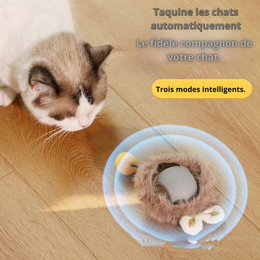 Description_Balle_souris_queue_jaune