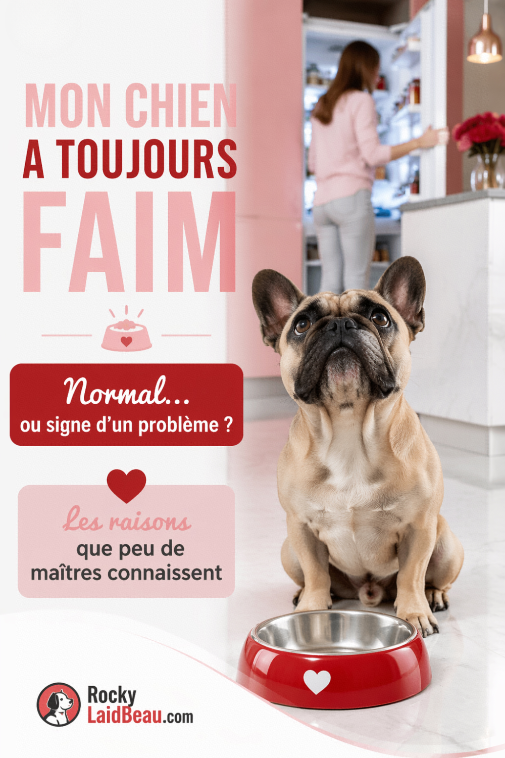 Mon chien a toujours faim : normal ou signe d'un problème ?