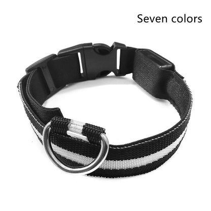 Collier Lumineux LED Haute Visibilité - Édition Rechargeable USB