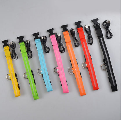 Collier Lumineux LED Haute Visibilité - Édition Rechargeable USB