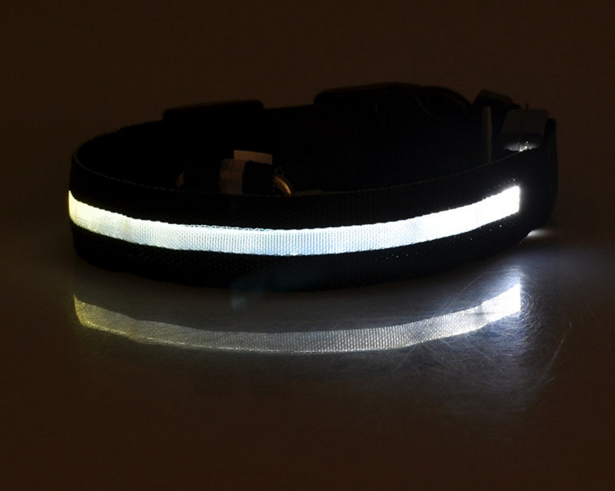 Collier Lumineux LED Haute Visibilité - Édition Rechargeable USB