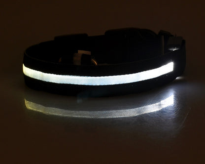 Collier Lumineux LED Haute Visibilité - Édition Rechargeable USB