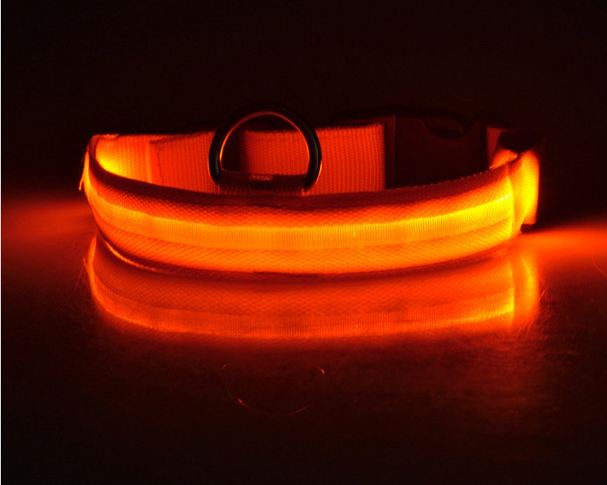 Collier Lumineux LED Haute Visibilité - Édition Rechargeable USB