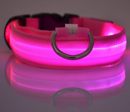 Collier Lumineux LED Haute Visibilité - Édition Rechargeable USB