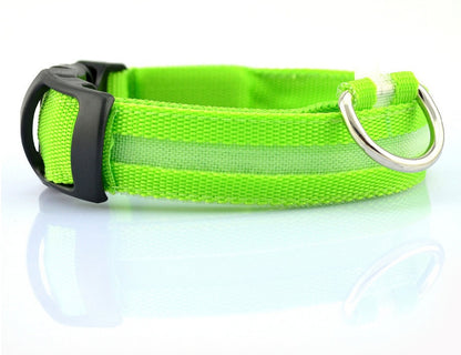 Collier Lumineux LED Haute Visibilité - Édition Rechargeable USB