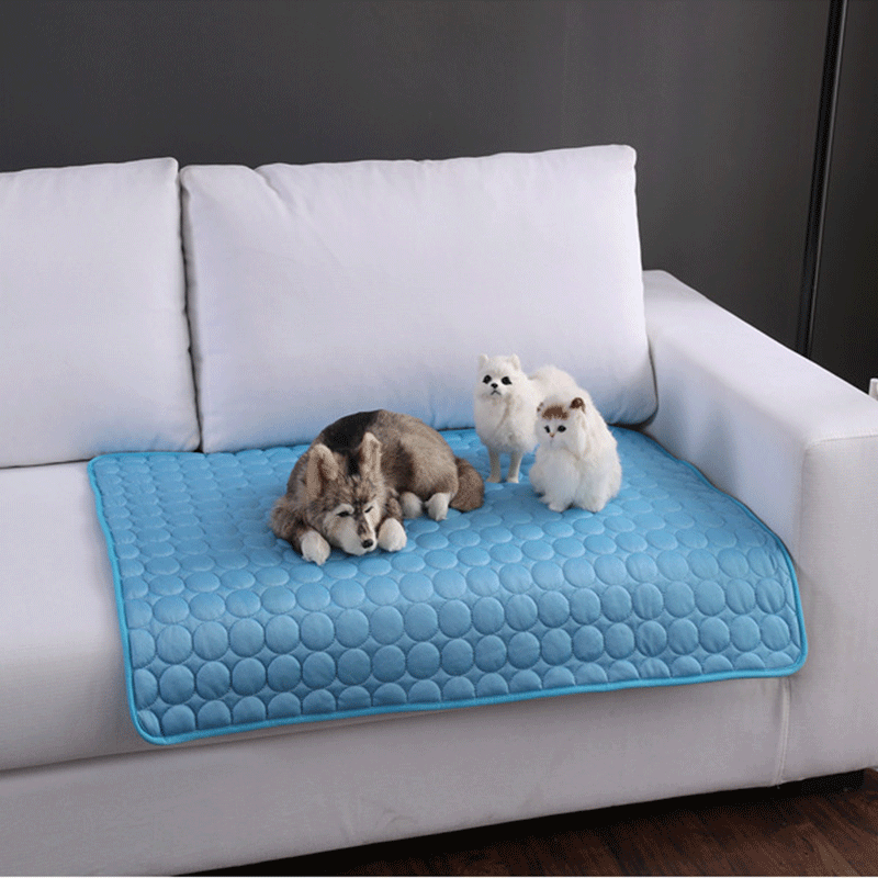 Le Tapis Frais de Rocky – Parce que Suer en Été, C'est Pas Glamour 🐾❄️
