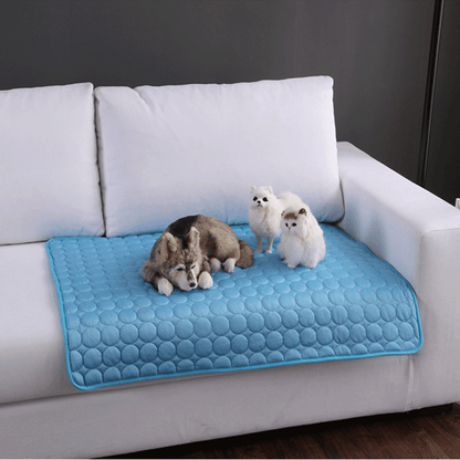 Le Tapis Frais de Rocky – Parce que Suer en Été, C'est Pas Glamour 🐾❄️