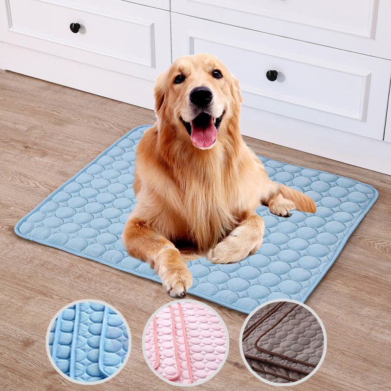 Le Tapis Frais de Rocky – Parce que Suer en Été, C'est Pas Glamour 🐾❄️