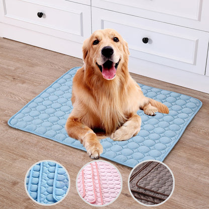 Le Tapis Frais de Rocky – Parce que Suer en Été, C'est Pas Glamour 🐾❄️