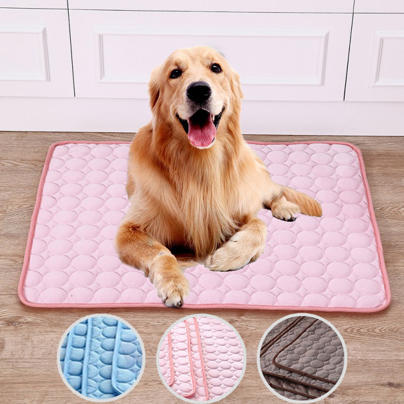 Le Tapis Frais de Rocky – Parce que Suer en Été, C'est Pas Glamour 🐾❄️