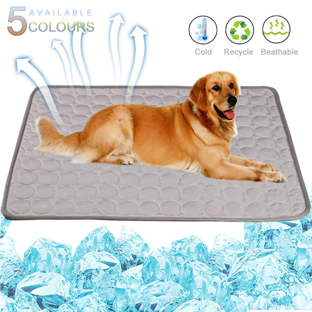 Le Tapis Frais de Rocky – Parce que Suer en Été, C'est Pas Glamour 🐾❄️