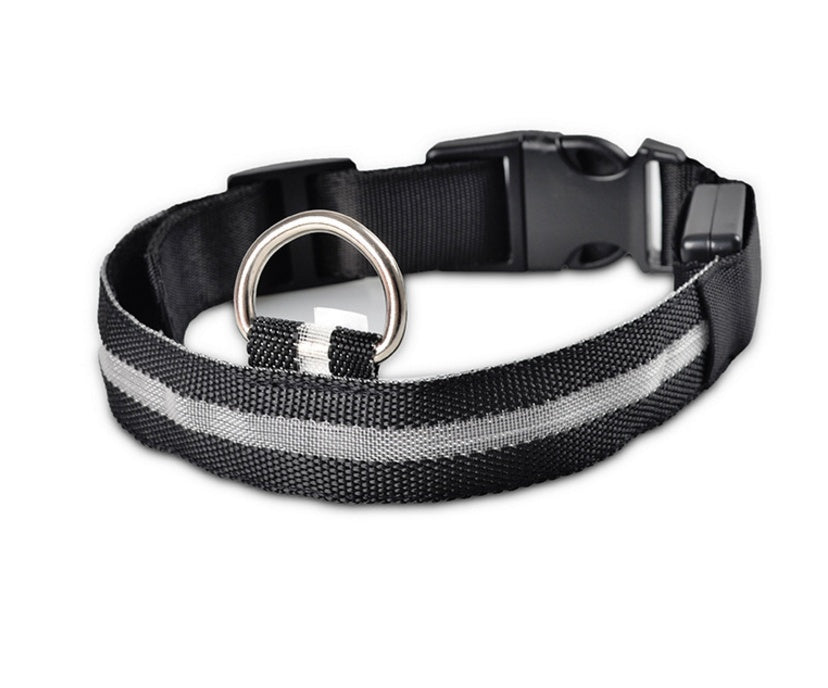 Collier Lumineux LED Haute Visibilité - Édition Rechargeable USB
