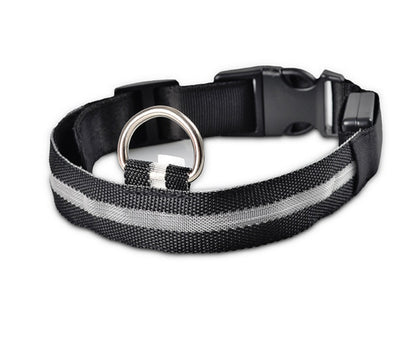 Collier Lumineux LED Haute Visibilité - Édition Rechargeable USB