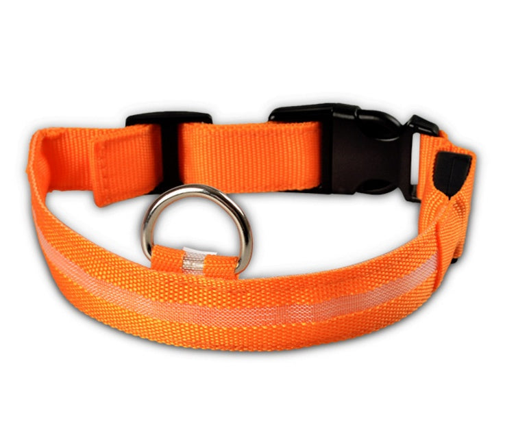 Collier Lumineux LED Haute Visibilité - Édition Rechargeable USB