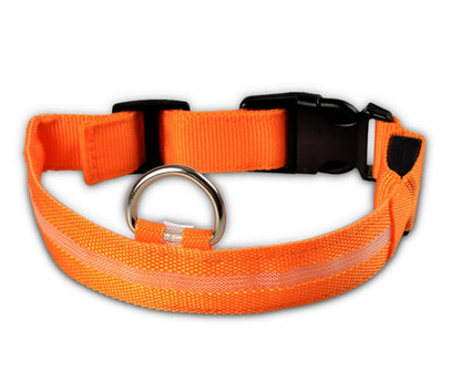 Collier Lumineux LED Haute Visibilité - Édition Rechargeable USB