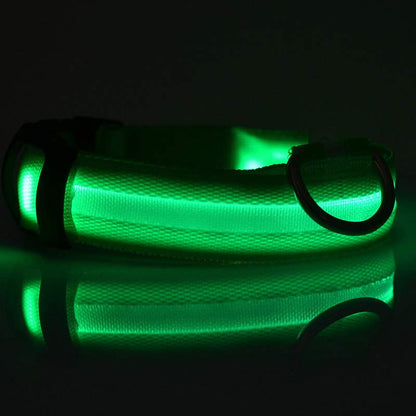 Collier Lumineux LED Haute Visibilité - Édition Rechargeable USB