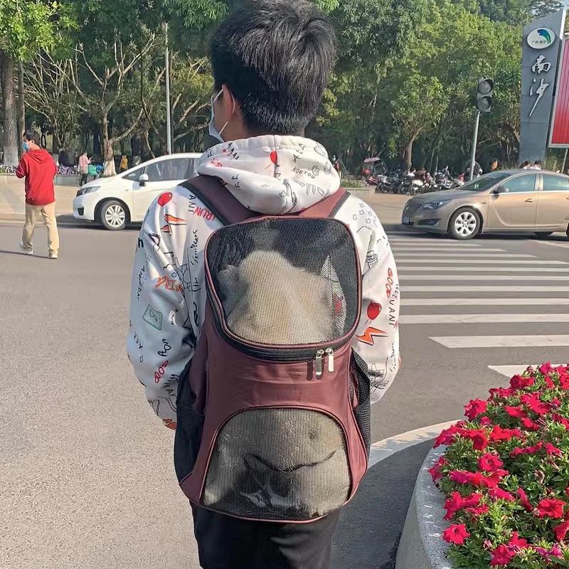 Le Sac à Dos de Rocky – Ton Chien Mérite de Voyager en Première Classe 🐾🎒