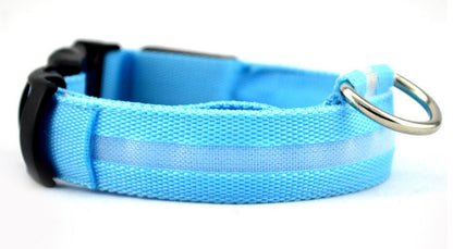 Collier Lumineux LED Haute Visibilité - Édition Rechargeable USB