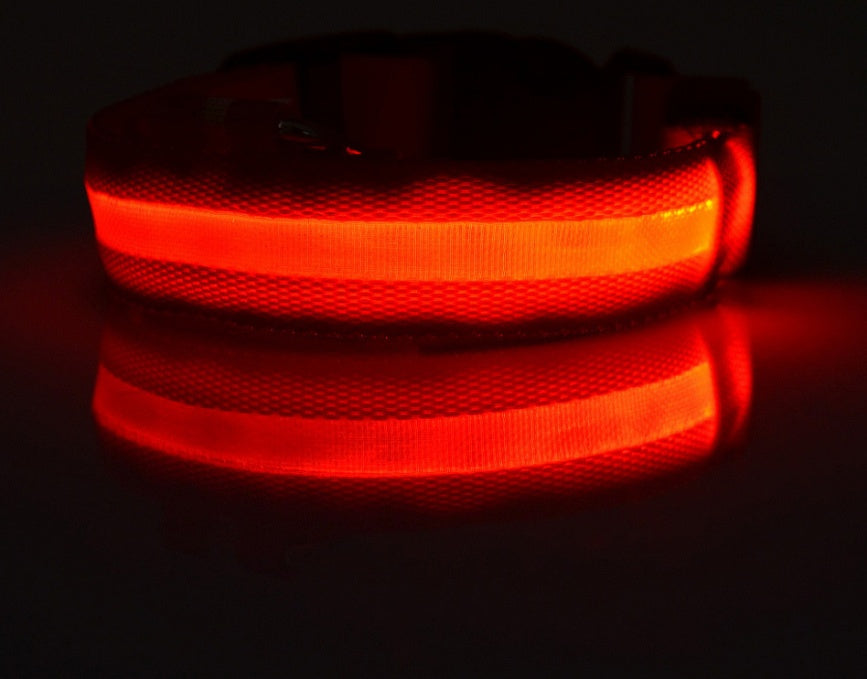Collier Lumineux LED Haute Visibilité - Édition Rechargeable USB