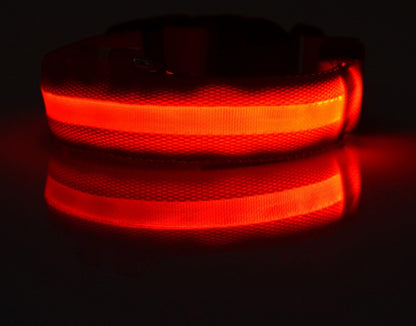 Collier Lumineux LED Haute Visibilité - Édition Rechargeable USB