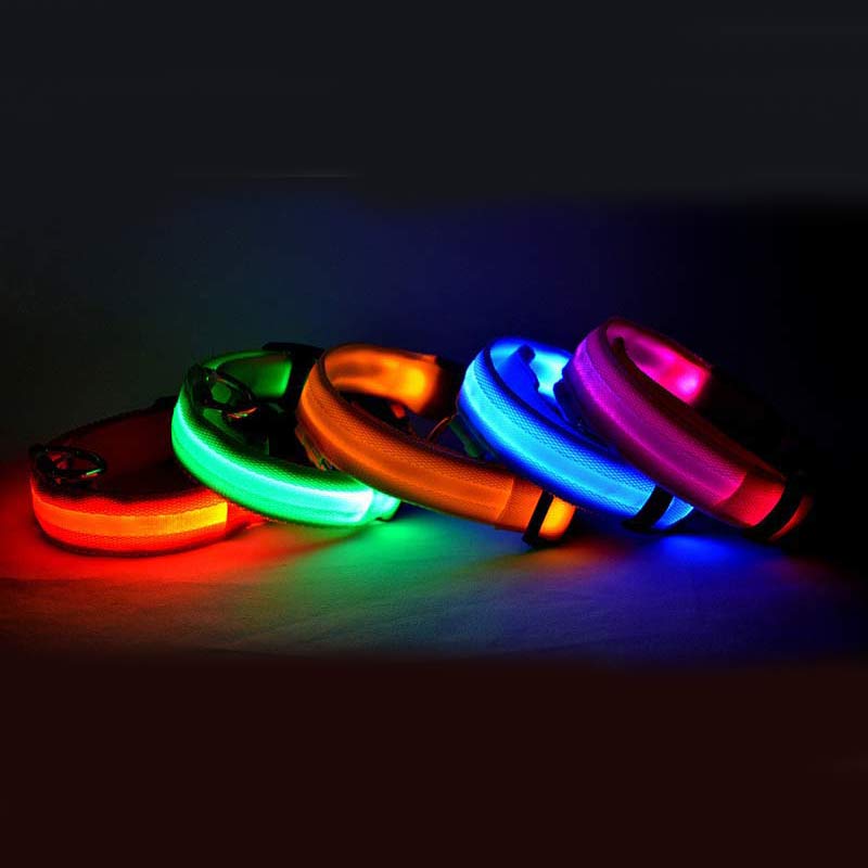 Collier Lumineux LED Haute Visibilité - Édition Rechargeable USB