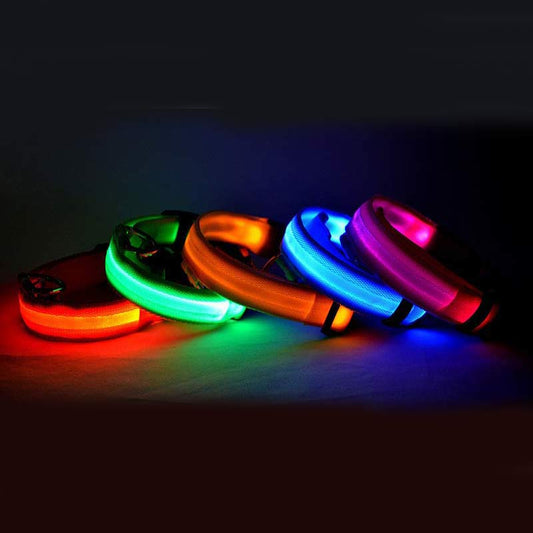 Collier Lumineux LED Haute Visibilité - Édition Rechargeable USB