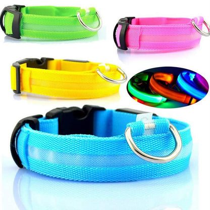 Collier Lumineux LED Haute Visibilité - Édition Rechargeable USB