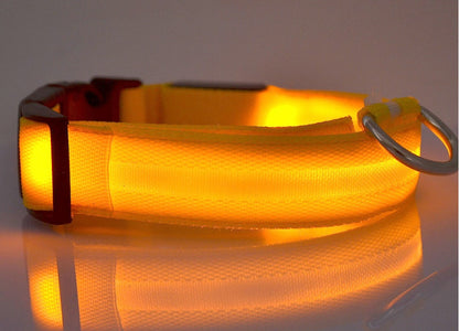 Collier Lumineux LED Haute Visibilité - Édition Rechargeable USB