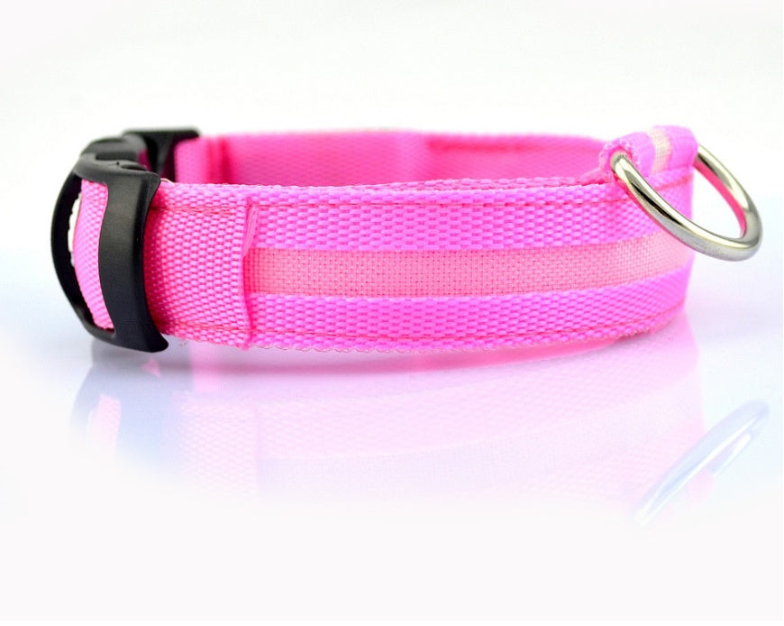 Collier Lumineux LED Haute Visibilité - Édition Rechargeable USB