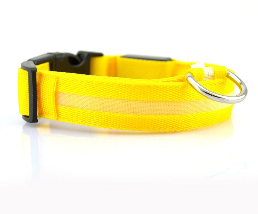 Collier Lumineux LED Haute Visibilité - Édition Rechargeable USB