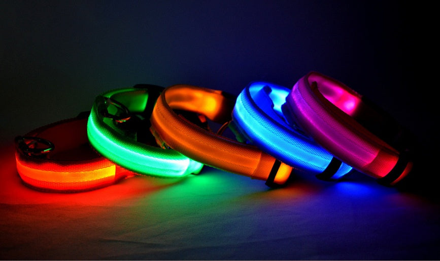 Collier Lumineux LED Haute Visibilité - Édition Rechargeable USB