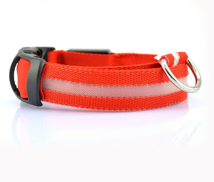 Collier Lumineux LED Haute Visibilité - Édition Rechargeable USB