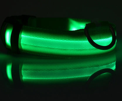 Collier Lumineux LED Haute Visibilité - Édition Rechargeable USB