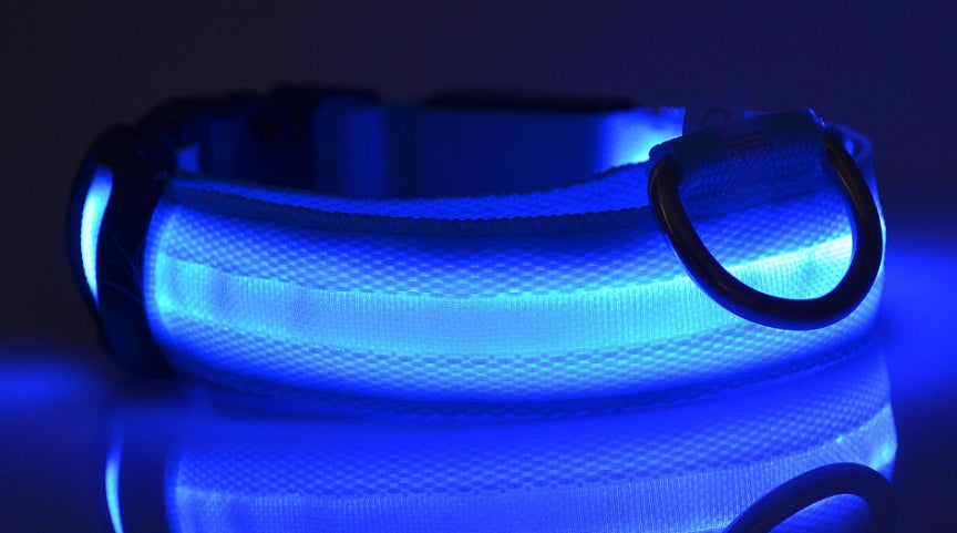 Collier Lumineux LED Haute Visibilité - Édition Rechargeable USB