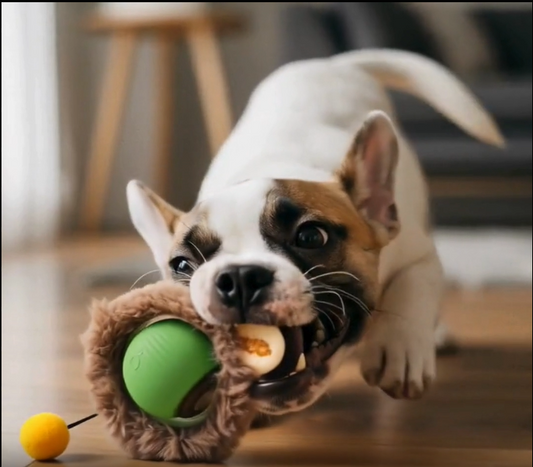 Balle Interactive pour Chat – Jouet Anti-Ennui en Silicone
