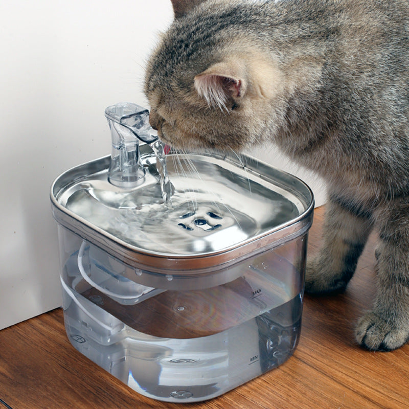 Chat fontaine eau rockylaidbeau