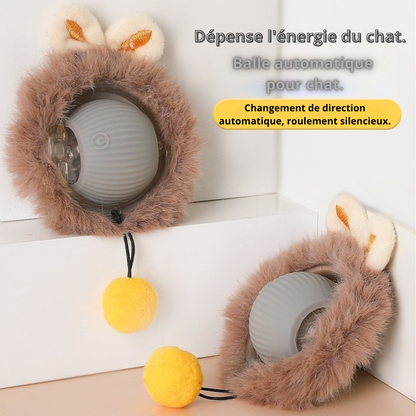 Description_Balle_souris_queue_grise

