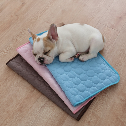 Le Tapis Frais de Rocky – Parce que Suer en Été, C'est Pas Glamour 🐾❄️