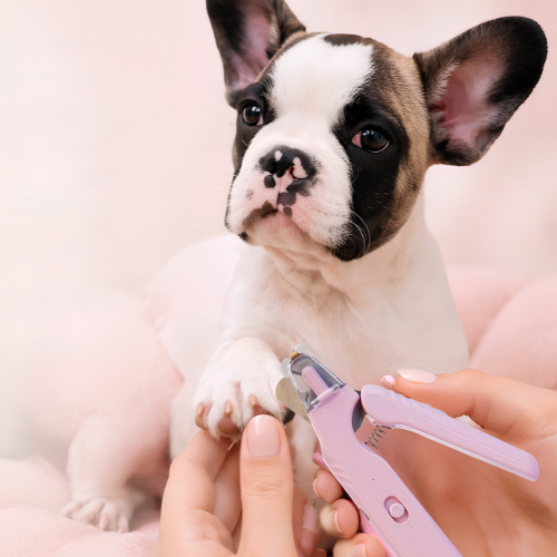 Coupe-Ongles 2-en-1 LED pour Chien et Chat – Sécurisé & Rechargeable USB-C