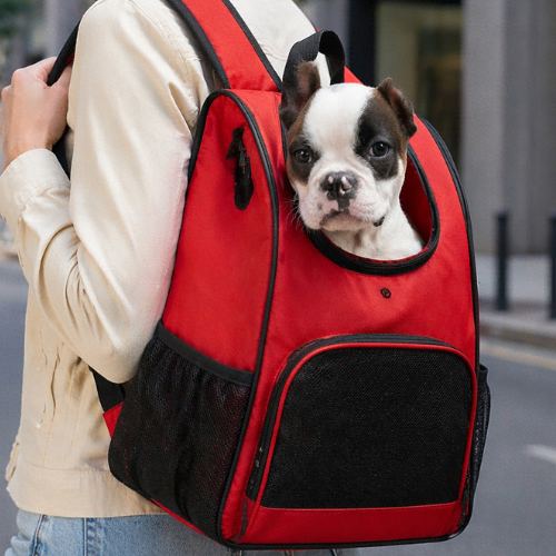 Le Sac à Dos de Rocky – Ton Chien Mérite de Voyager en Première Classe 🐾🎒