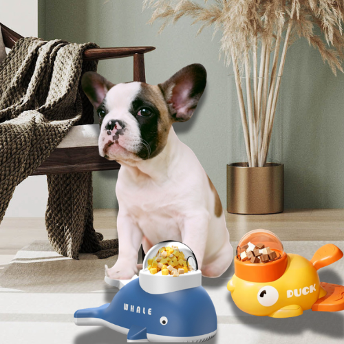 Le Distributeur de Friandises de Rocky – Manger Lentement, C'est Manger Mieux 🦆🐳🐾