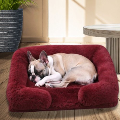 Le Nuage Royal – Le Coussin de Luxe Validé par Rocky 🐾💤