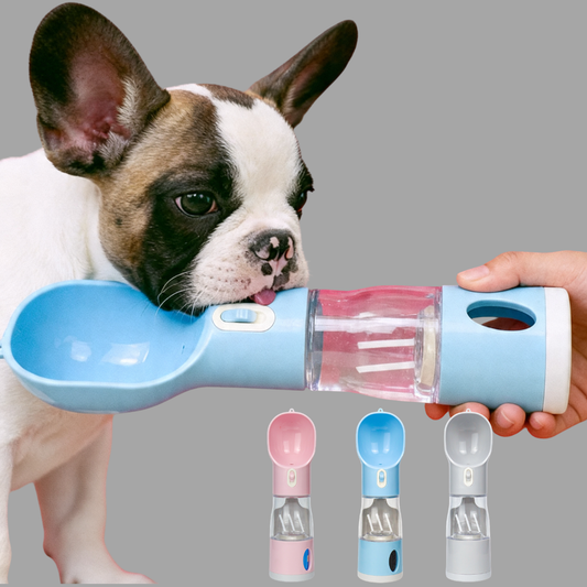 Gourde Multifonction pour Chien en Balade – Eau & Croquettes