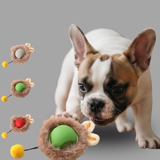 Balle Interactive pour Chat – Jouet Anti-Ennui en Silicone