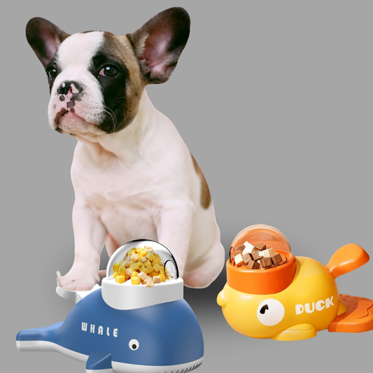 Le Distributeur de Friandises de Rocky – Manger Lentement, C'est Manger Mieux 🦆🐳🐾