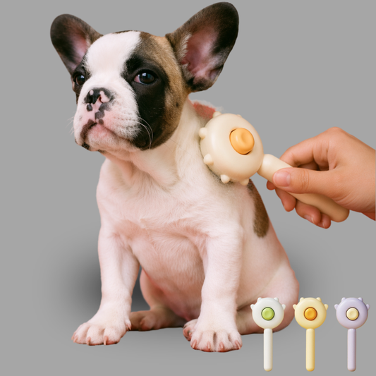 Peigne Massage Anti-Poils pour Chat et Chien – Brosse Dêmêlante