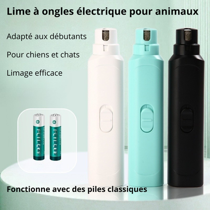 Variantes Lime à ongle électrique