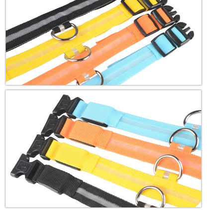 Collier Lumineux LED Haute Visibilité - Édition Rechargeable USB