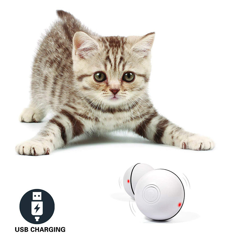 balle folle rockylaidbeau recharge usb